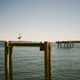 Illustration for article titled Photos from a recent weekend trip to Victoria